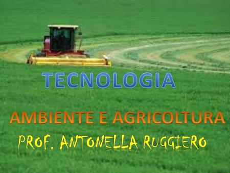 AMBIENTE E AGRICOLTURA Prof. Antonella ruggiero