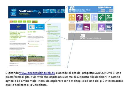 Digitando www.lanconsultingweb.eu si accede al sito del progetto SOILCONSWEB. Una piattaforma digitale via web che ospita un sistema di supporto alle decisioni.