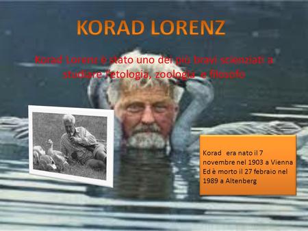 KORAD LORENZ Korad Lorenz è stato uno dei più bravi scienziati a studiare l’etologia, zoologia e filosofo Korad era nato il 7 novembre nel 1903 a Vienna.