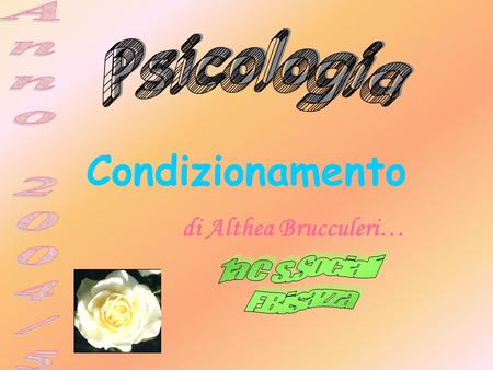 Condizionamento Psicologia Anno 2004/5 1a C S.Sociali F.Bisazza