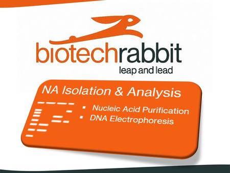 Che cosa offre biotechrabbit ? Prodotti per l’isolamento degli Adici Nucleici (DNA – RNA)