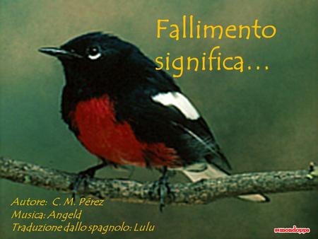 AdaliM Fallimento significa… Autore: C. M. Pérez Musica: Angeld Traduzione dallo spagnolo: Lulu.