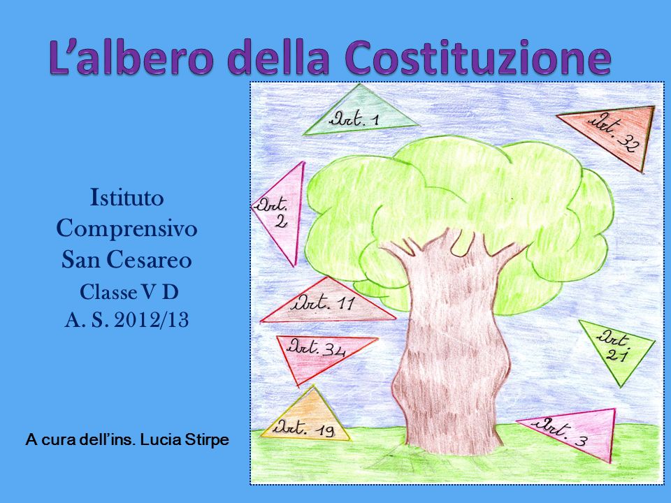 L'albero per la Costituzione è stato sistemato