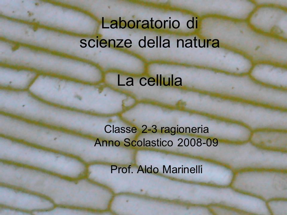 Laboratorio di scienze della natura La cellula - ppt scaricare