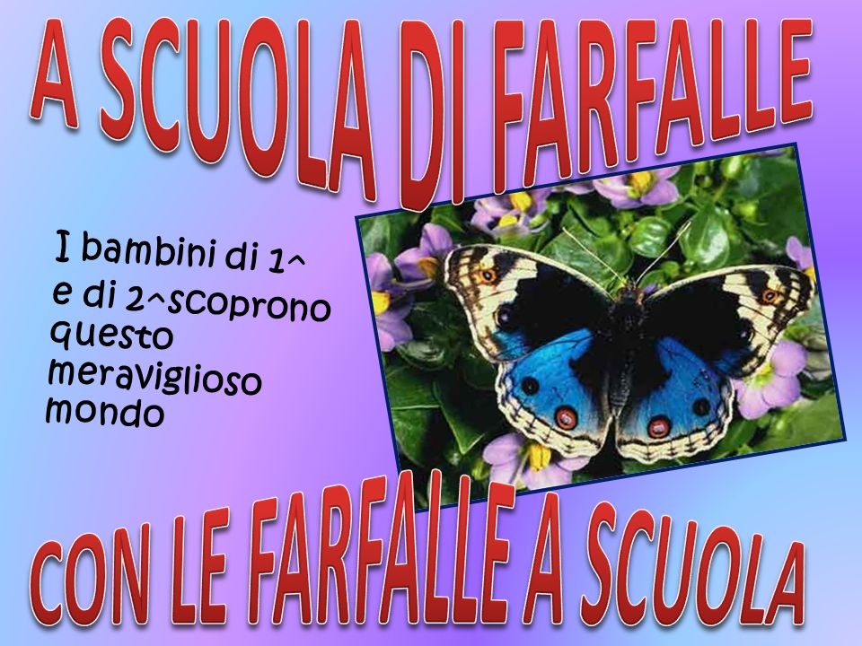 Liberiamo le farfalle