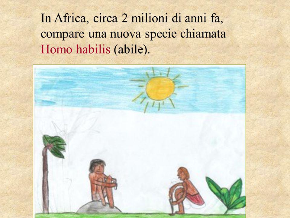 In Africa, circa 2 milioni di anni fa, compare una nuova specie chiamata Homo habilis (abile).