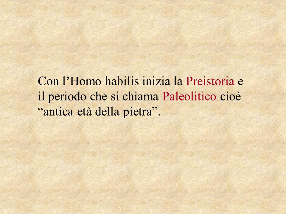 Con l’Homo habilis inizia la Preistoria e il periodo che si chiama Paleolitico cioè antica età della pietra .