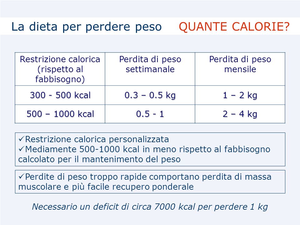 Dieta 500 Calorie Kg Websahutpinstk