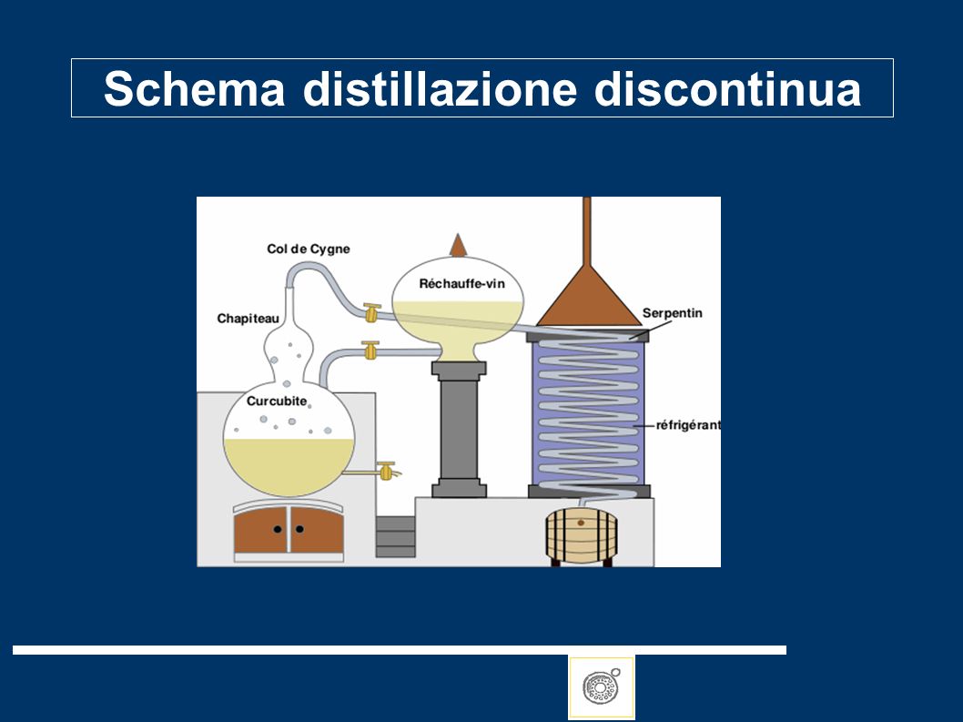 Distillati e liquori Prof. Serredi Gaetano. - ppt video online scaricare