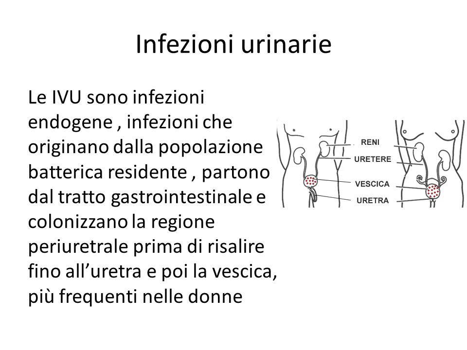 Infezione del tratto urinario sesso anale