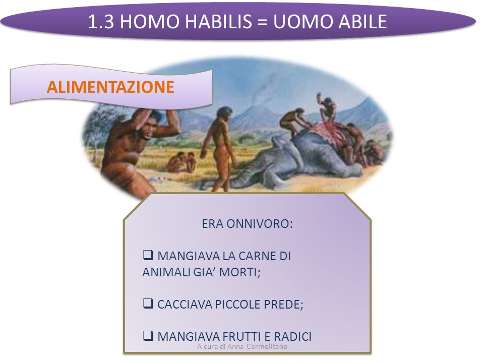 1.3 HOMO HABILIS = UOMO ABILE