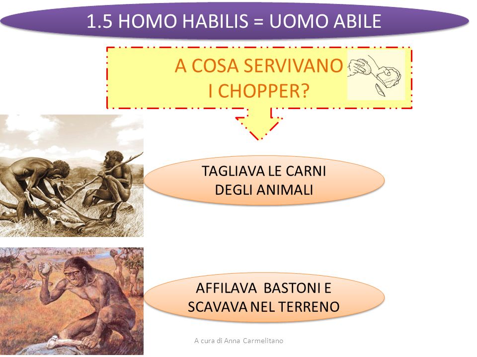 1.5 HOMO HABILIS = UOMO ABILE