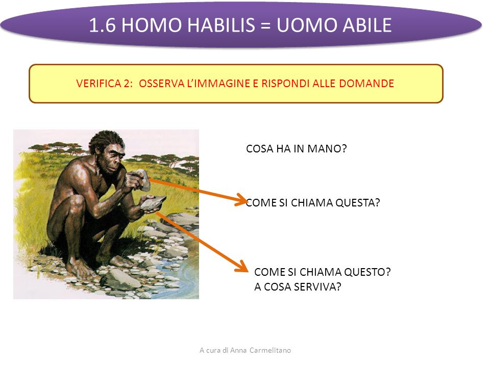 1.6 HOMO HABILIS = UOMO ABILE