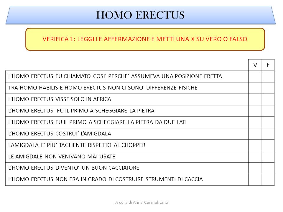 HOMO ERECTUS VERIFICA 1: LEGGI LE AFFERMAZIONE E METTI UNA X SU VERO O FALSO. V. F.