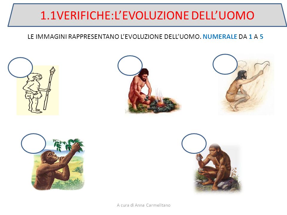1.1VERIFICHE:L’EVOLUZIONE DELL’UOMO