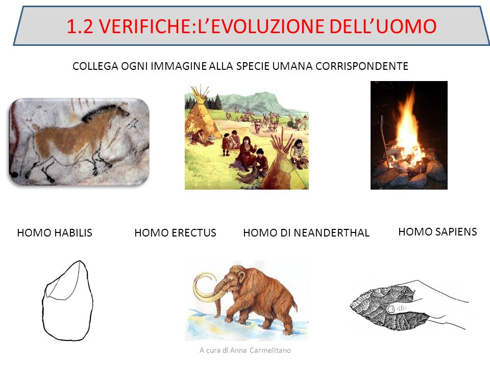 1.2 VERIFICHE:L’EVOLUZIONE DELL’UOMO