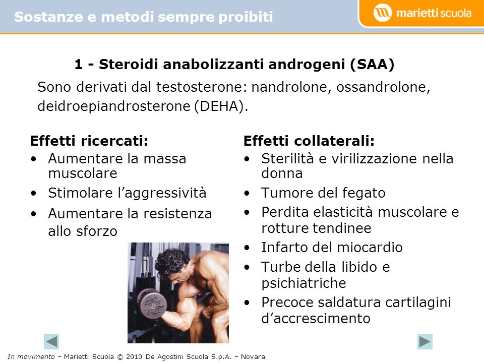 1 - Steroidi anabolizzanti androgeni (SAA))