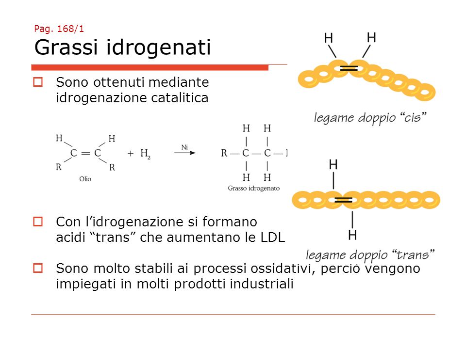 Pag. 168/1 Grassi idrogenati