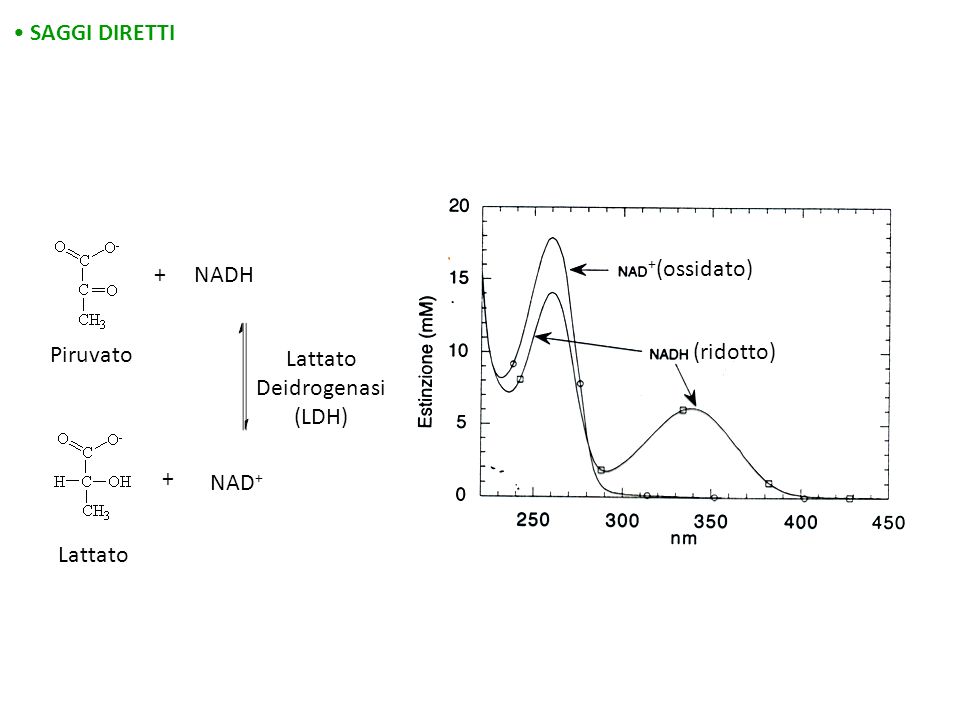 SAGGI DIRETTI + NADH +(ossidato) Piruvato Lattato Deidrogenasi (LDH) (ridotto) + NAD+ Lattato