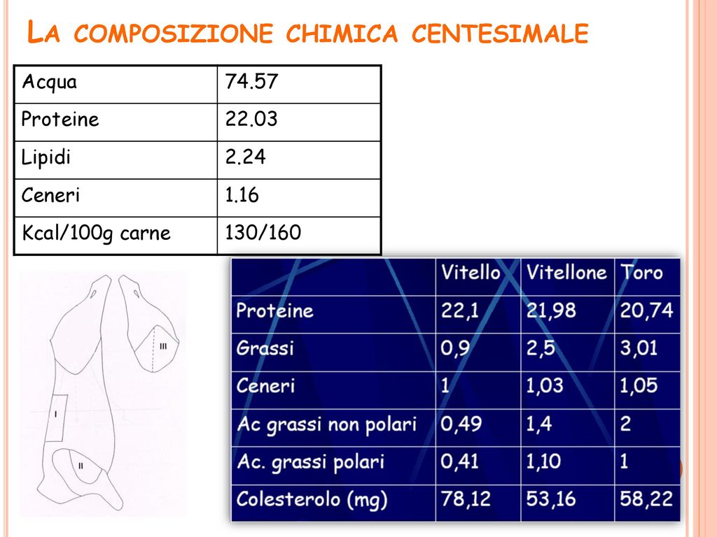 La qualità della carne. - ppt scaricare