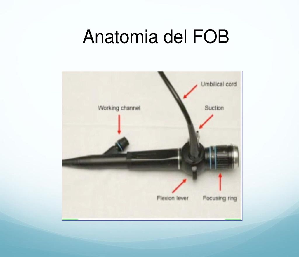 Anatomia del FOB