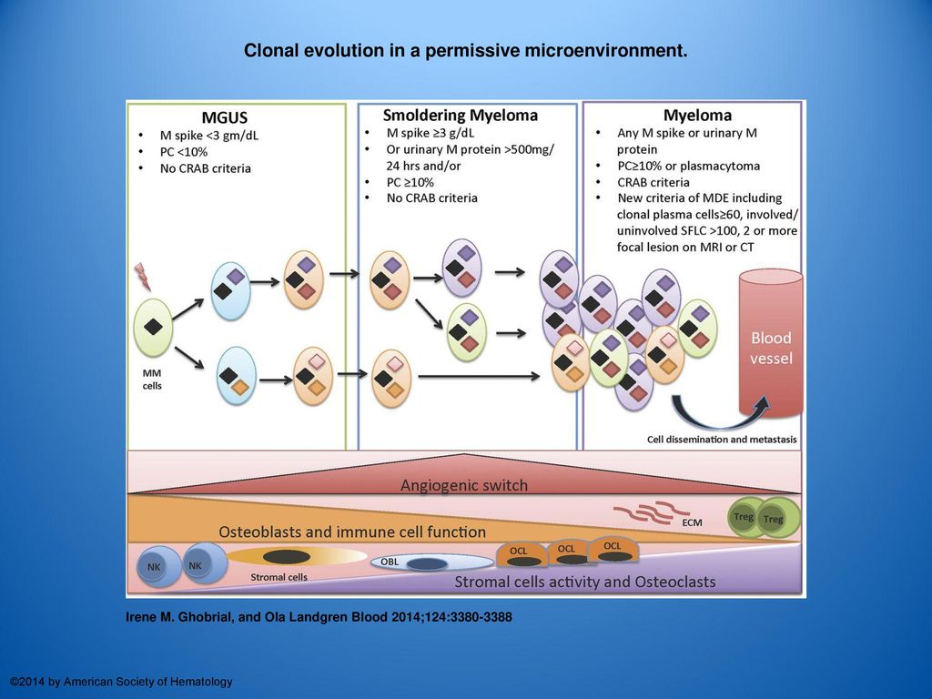 Clonal evolution in a permissive microenvironment.