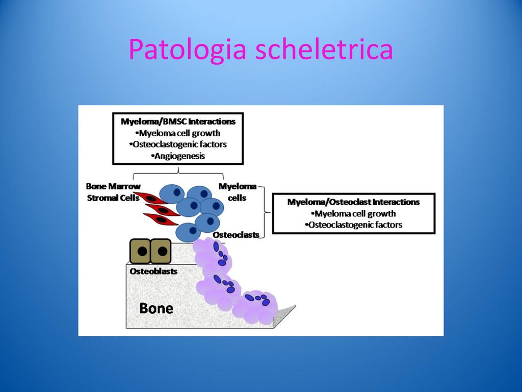 Patologia scheletrica
