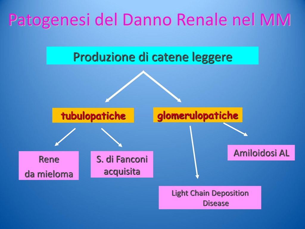Patogenesi del Danno Renale nel MM