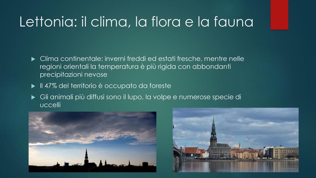 Lettonia: il clima, la flora e la fauna