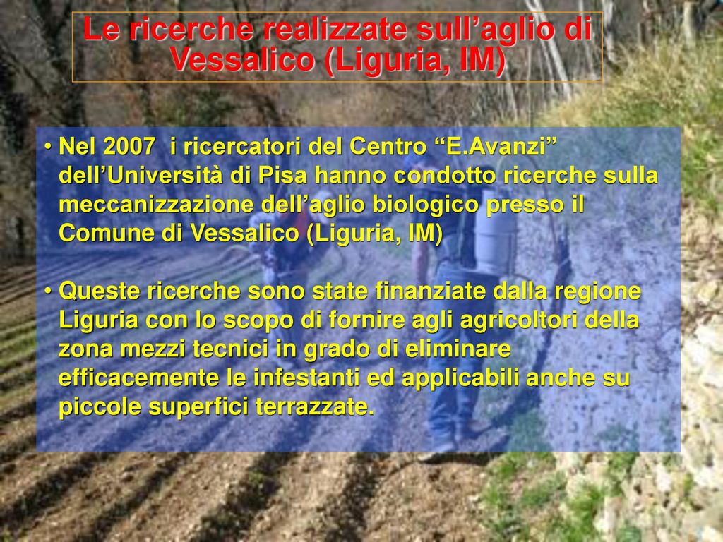 Le ricerche realizzate sull’aglio di Vessalico (Liguria, IM)