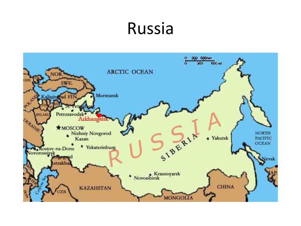 Total area of the russian federation