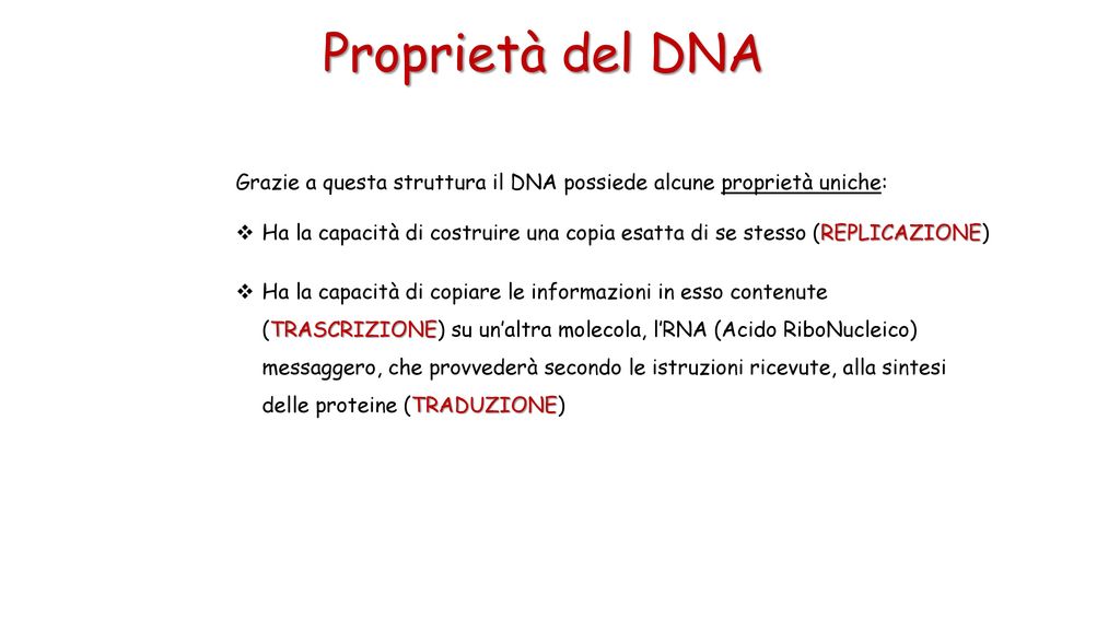 Proprietà del DNA Grazie a questa struttura il DNA possiede alcune proprietà uniche: