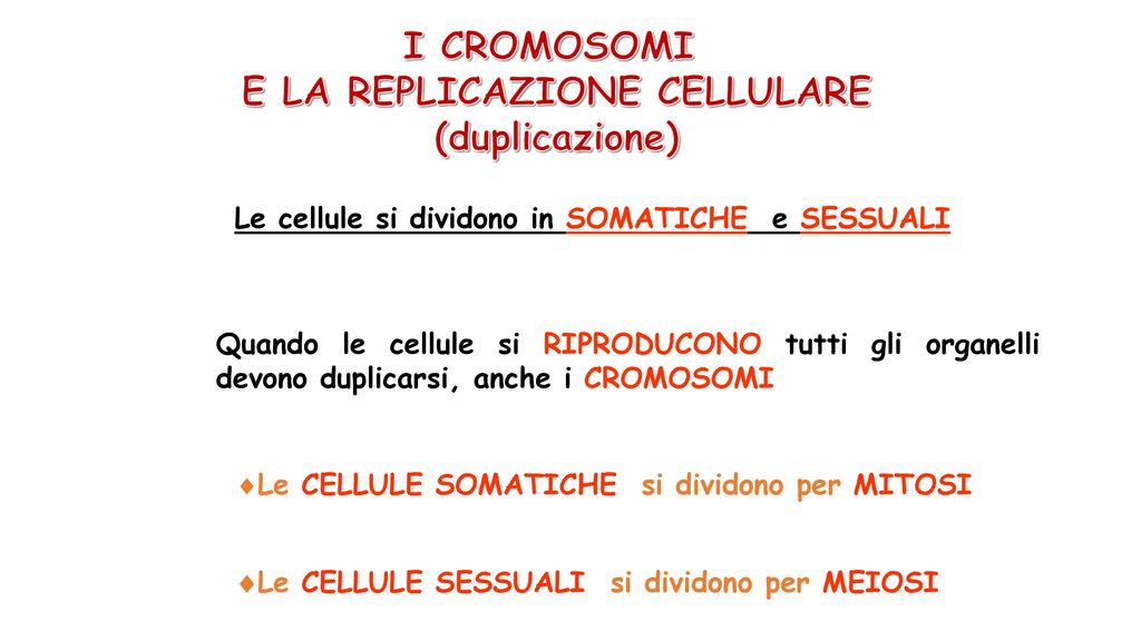 I CROMOSOMI E LA REPLICAZIONE CELLULARE (duplicazione)