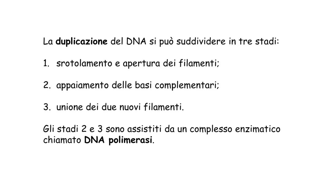 La duplicazione del DNA si può suddividere in tre stadi: