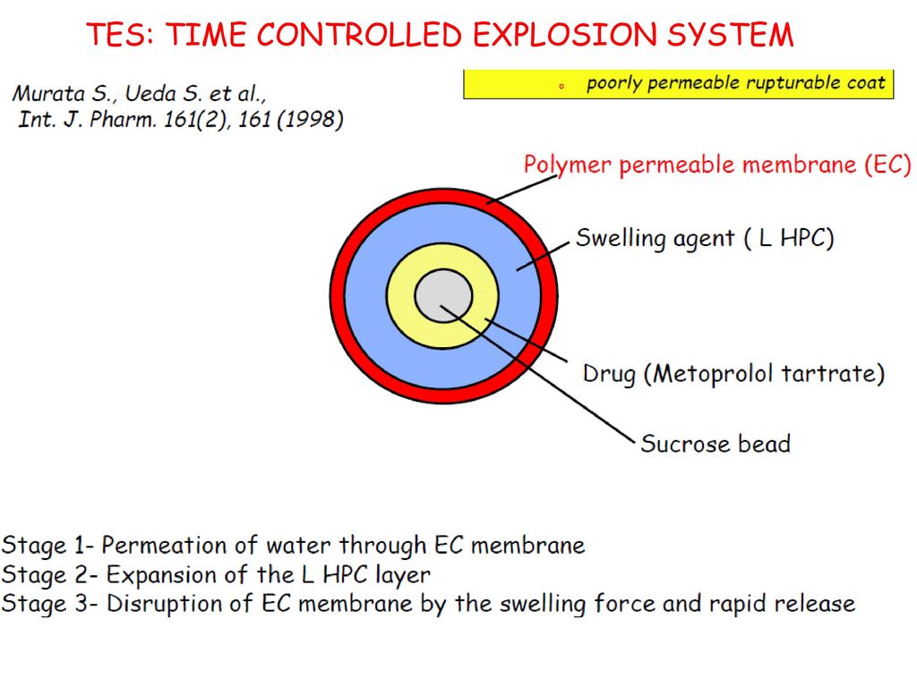 TES: TIME CONTROLLED EXPLOSION SYSTEM
