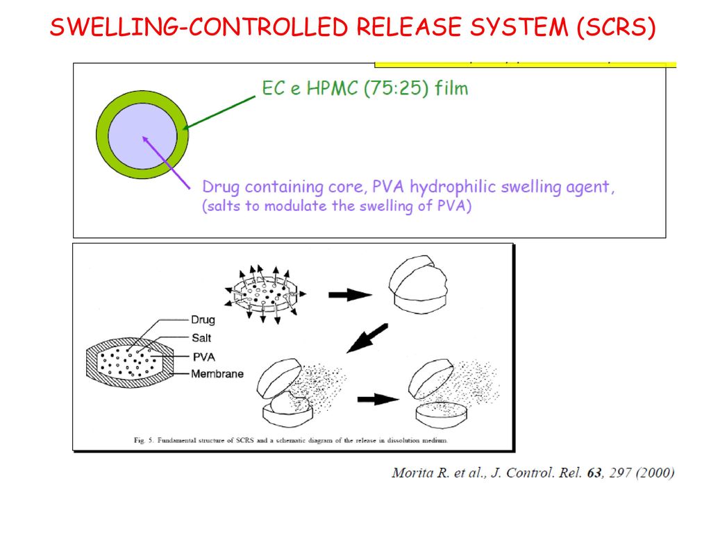 SWELLING-CONTROLLED RELEASE SYSTEM (SCRS)