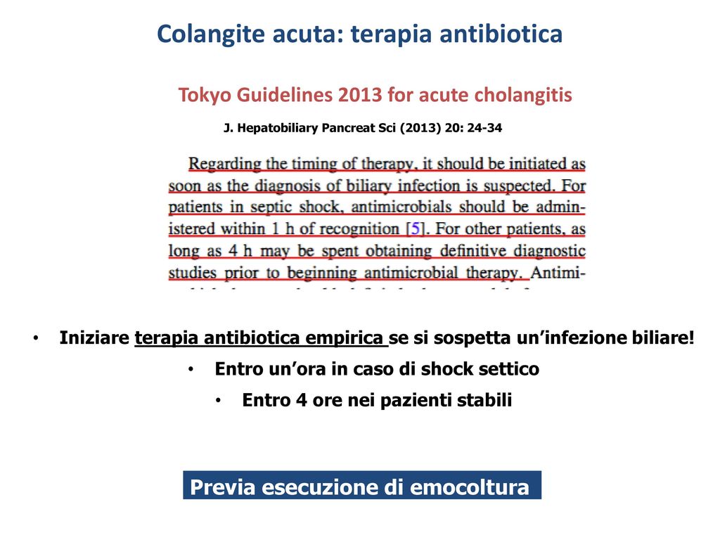 Colangite acuta: terapia antibiotica