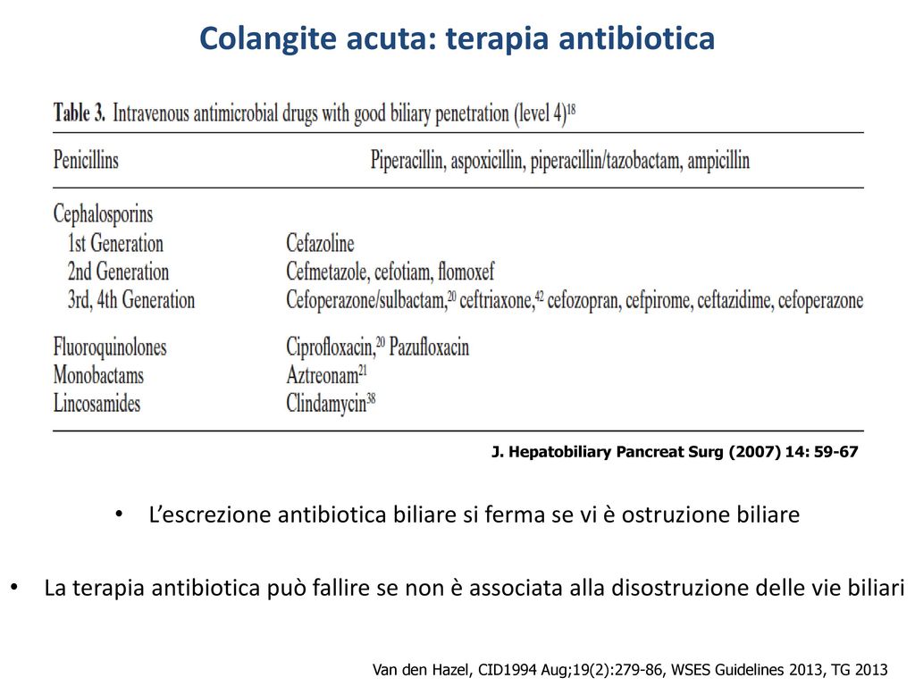 Colangite acuta: terapia antibiotica
