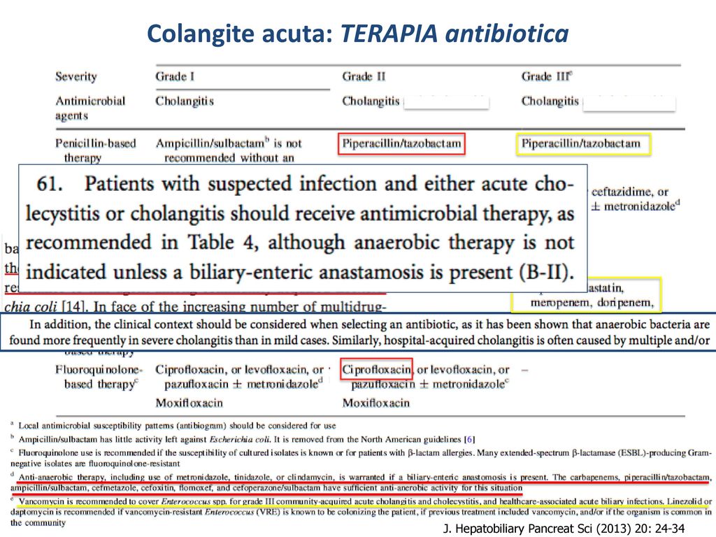 Colangite acuta: TERAPIA antibiotica