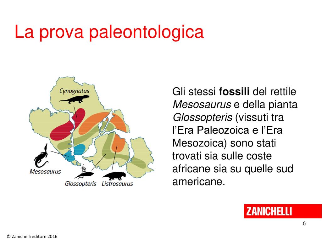La prova paleontologica