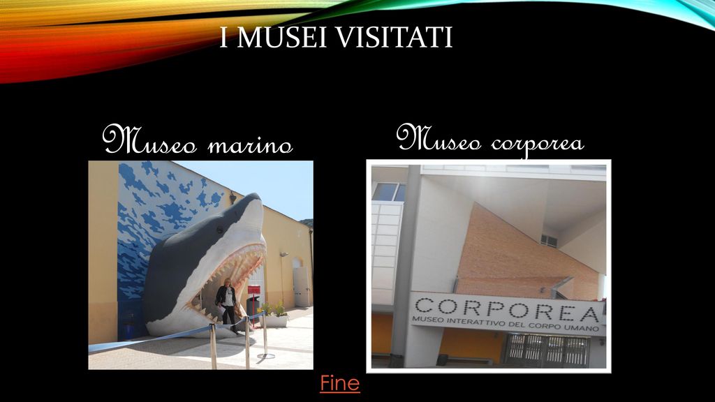 I musei visitati Museo marino Museo corporea Fine