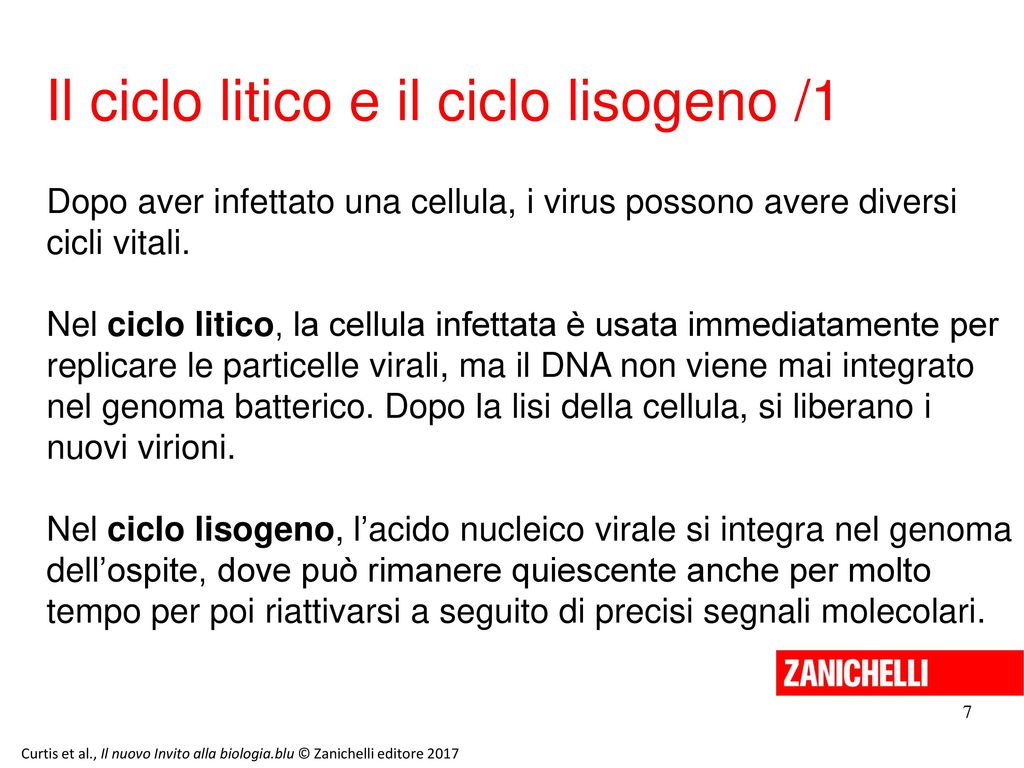 1311 Ppt Scaricare