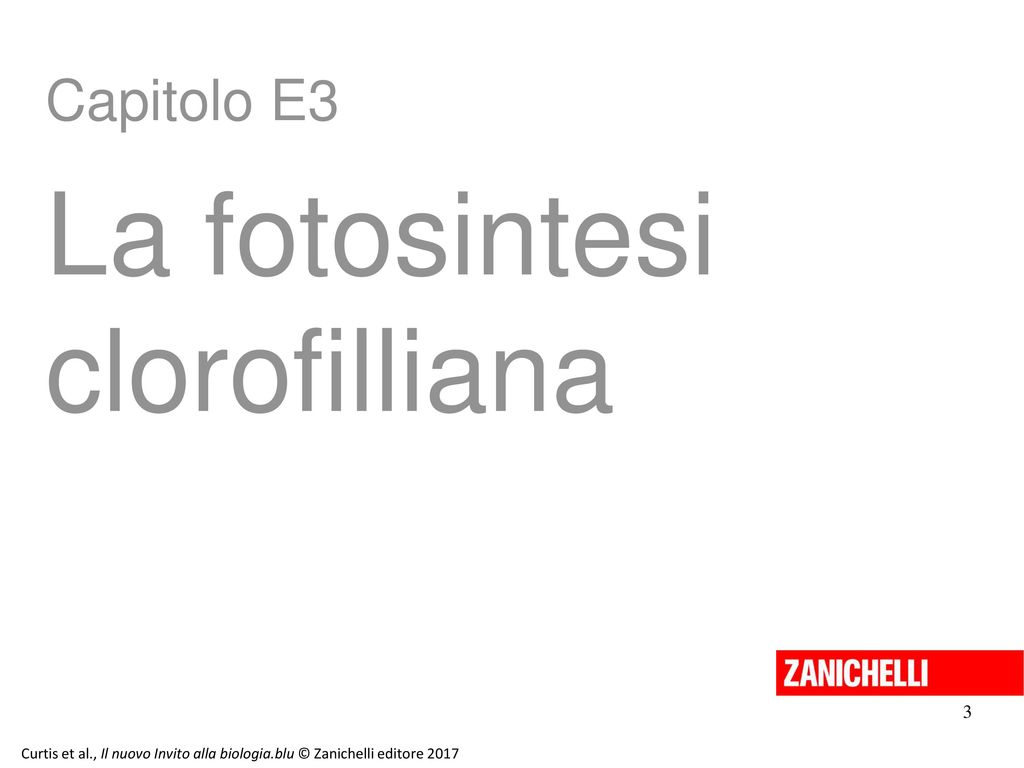 La fotosintesi clorofilliana Capitolo E3 3 13/11/11 3