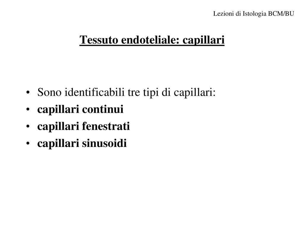 Tessuto endoteliale: capillari