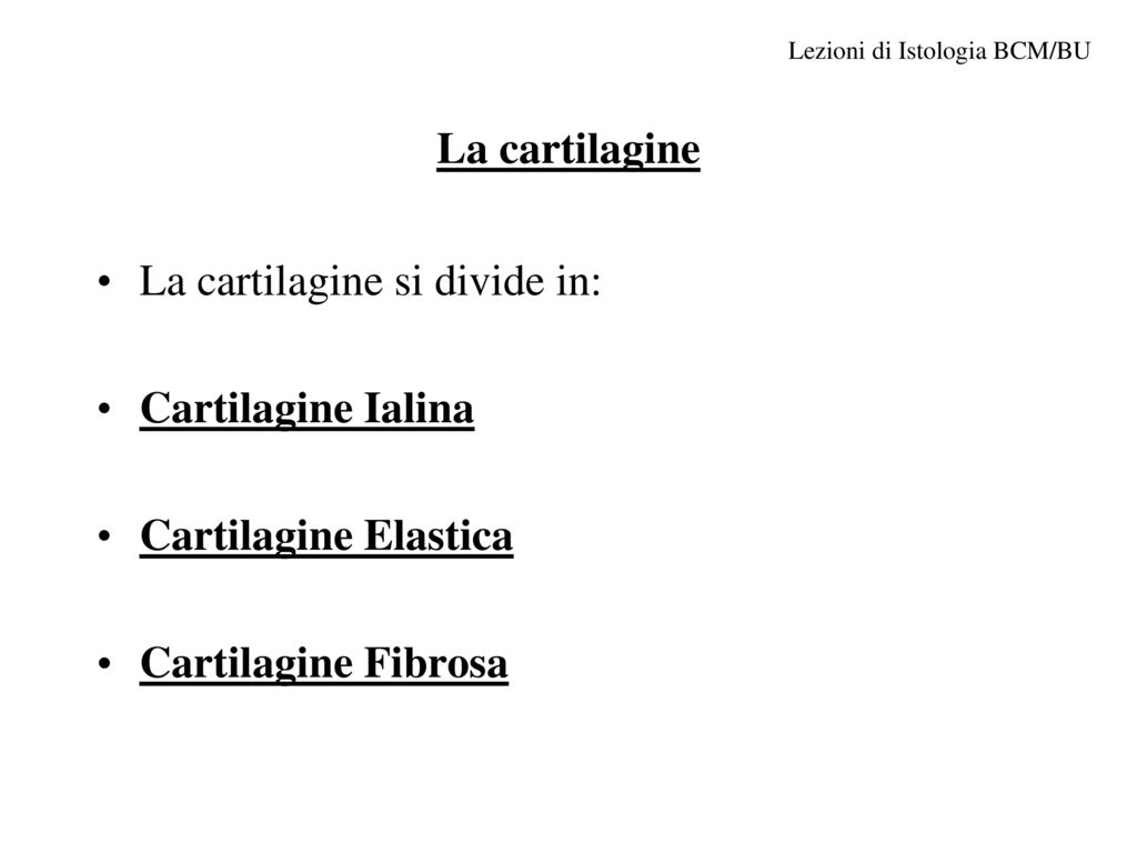 La cartilagine si divide in: Cartilagine Ialina Cartilagine Elastica