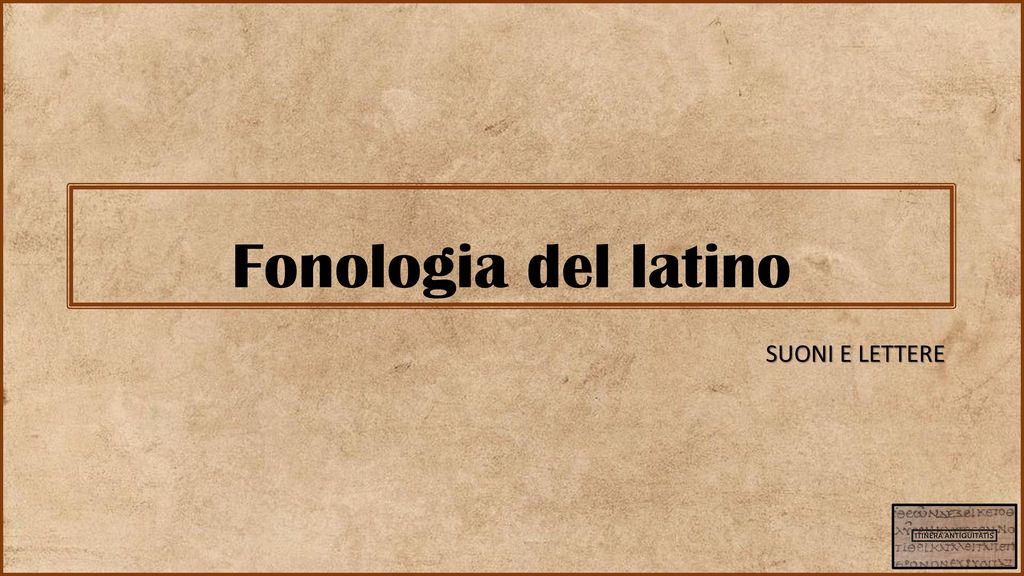 Fonologia del latino SUONI E LETTERE