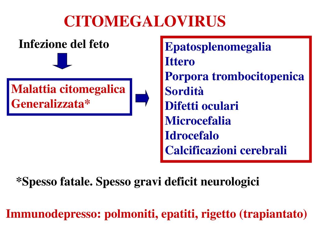 VIRUS ERPETICI Simmetria icosaedrica DNA bicatenario ( Kb) - ppt scaricare