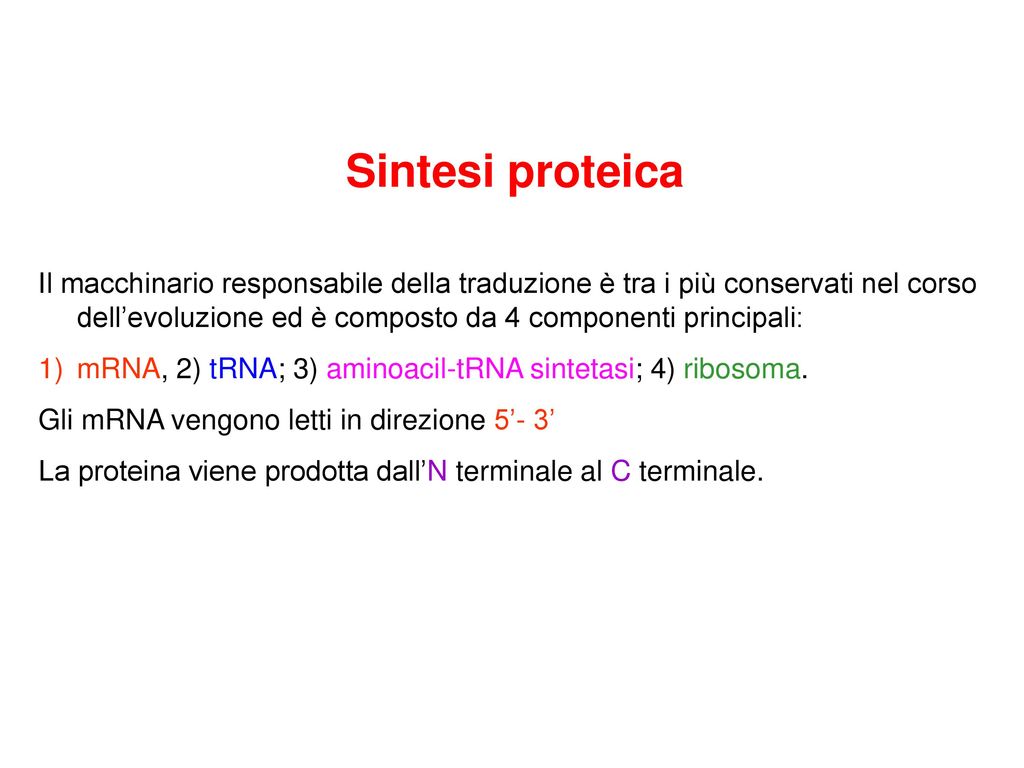 mRNA, 2) tRNA; 3) aminoacil-tRNA sintetasi; 4) ribosoma.