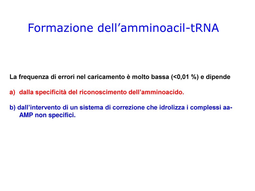 Formazione dell’amminoacil-tRNA