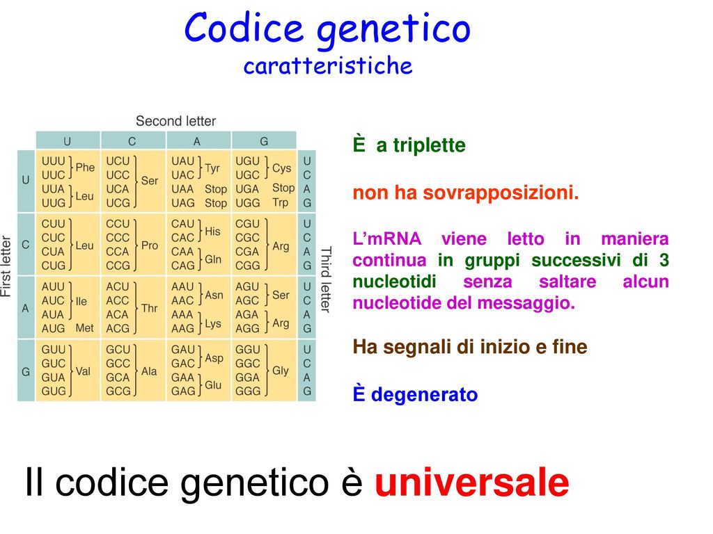 Codice genetico caratteristiche